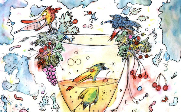 ORANGE WINE